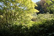 43 - Butchard Gardens  - IMG_1633